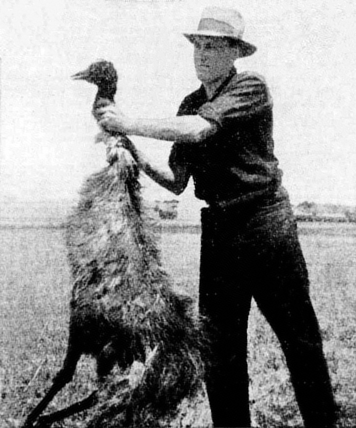 A 1932 press photograph from the campaign. The birds won.